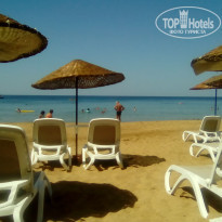 фото из отзыва ID 1582072