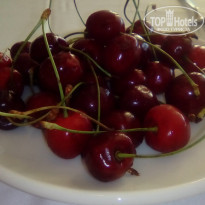 фото из отзыва ID 1582072