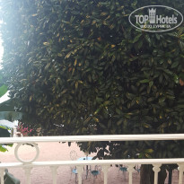 фото из отзыва ID 1583611