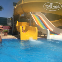 фото из отзыва ID 1583696