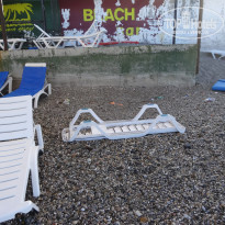 фото из отзыва ID 1583709