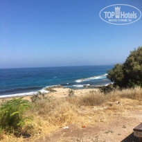 фото из отзыва ID 1583727