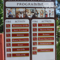 фото из отзыва ID 1583872