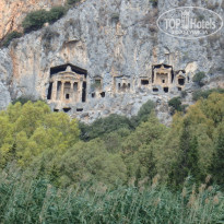 фото из отзыва ID 1583872