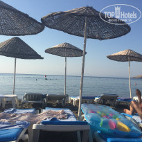 фото из отзыва ID 1583983