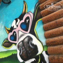 фото из отзыва ID 1584146