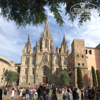 фото из отзыва ID 1584234