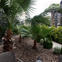 фото из отзыва ID 1584336