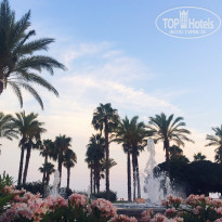 фото из отзыва ID 1584336