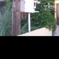 фото из отзыва ID 1584397