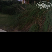 фото из отзыва ID 1584397