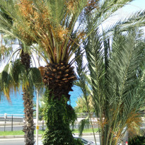 фото из отзыва ID 1584554