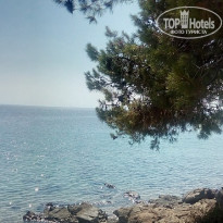 фото из отзыва ID 1584629