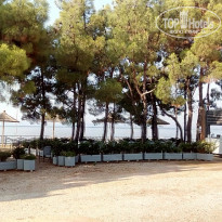 фото из отзыва ID 1584629