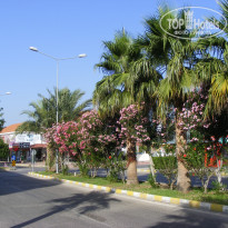 фото из отзыва ID 1584651