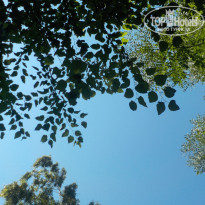 фото из отзыва ID 1584797