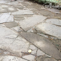 фото из отзыва ID 1584797