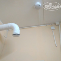 фото из отзыва ID 1584828