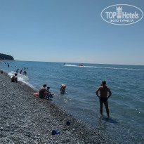 фото из отзыва ID 1584968