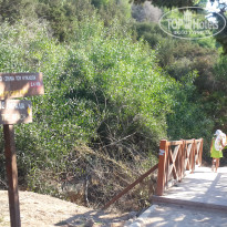 фото из отзыва ID 1584980