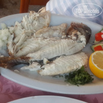 фото из отзыва ID 1584980