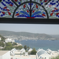 фото из отзыва ID 1584656