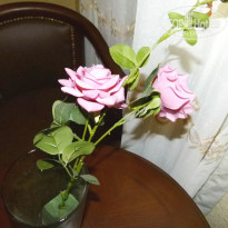 фото из отзыва ID 1585102