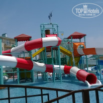 фото из отзыва ID 1585107