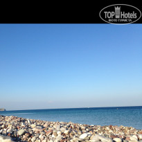 фото из отзыва ID 1585127