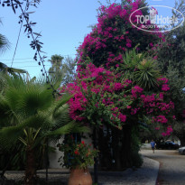 фото из отзыва ID 1585127