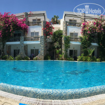 фото из отзыва ID 1585233