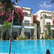 фото из отзыва ID 1585233