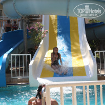 фото из отзыва ID 1585255