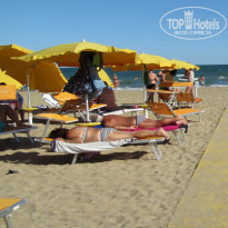 фото из отзыва ID 1585397