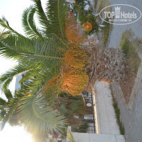 фото из отзыва ID 1585413