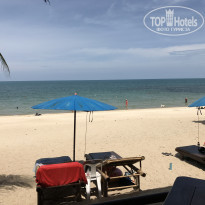 фото из отзыва ID 1585493