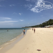 фото из отзыва ID 1585493