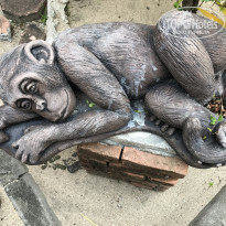 фото из отзыва ID 1585493