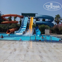 фото из отзыва ID 1585500