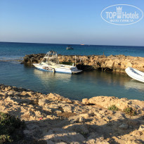 фото из отзыва ID 1585704