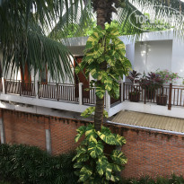 фото из отзыва ID 1585748