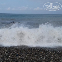 фото из отзыва ID 1585752