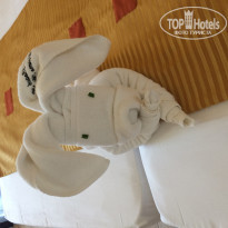 фото из отзыва ID 1583263