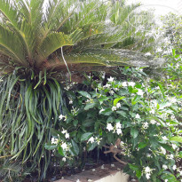 фото из отзыва ID 1585783