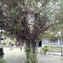 фото из отзыва ID 1585783