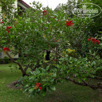 фото из отзыва ID 1585783