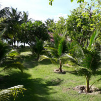 фото из отзыва ID 1585783