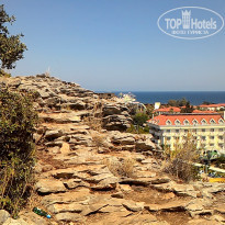 фото из отзыва ID 1585787