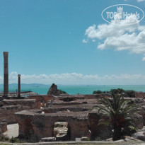 фото из отзыва ID 1585912