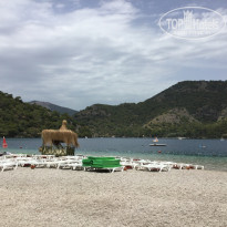 фото из отзыва ID 1586149